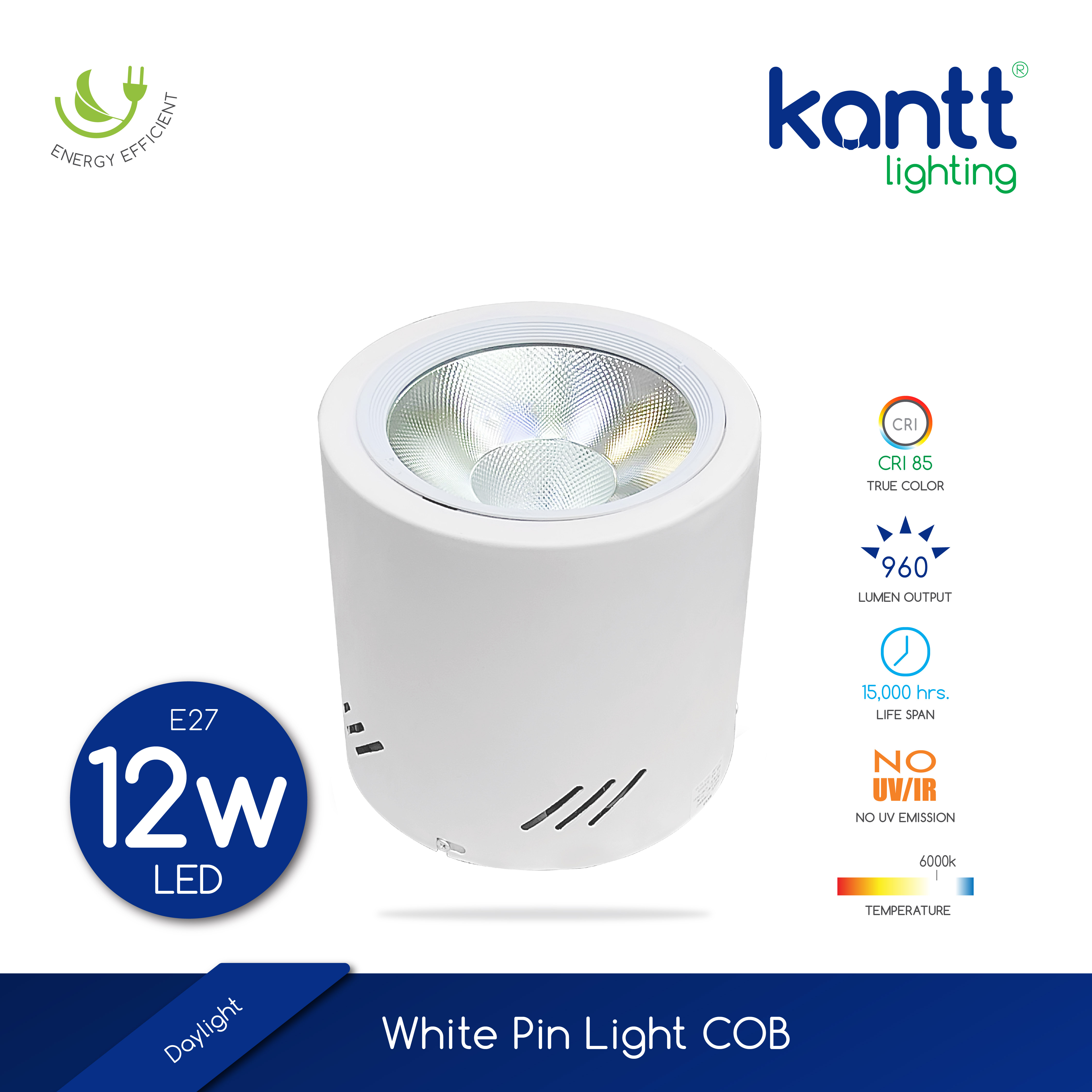 Kantt Lighting Daylight LED White Pin Light 12W / 30W Lazada PH