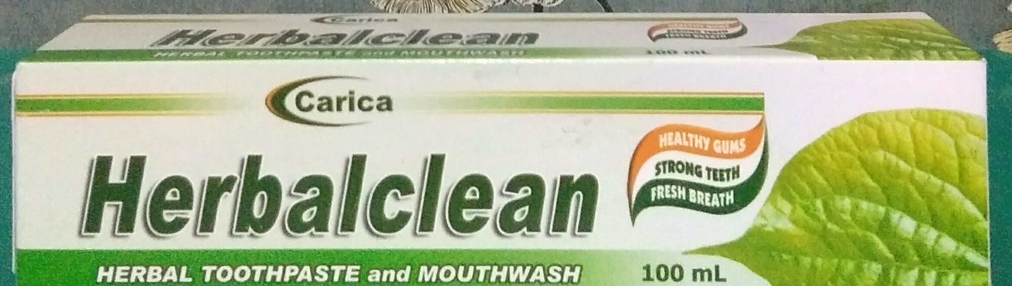 HERBALCLEAN ORGANIC TOOTHOASTE 100 ml Lazada PH