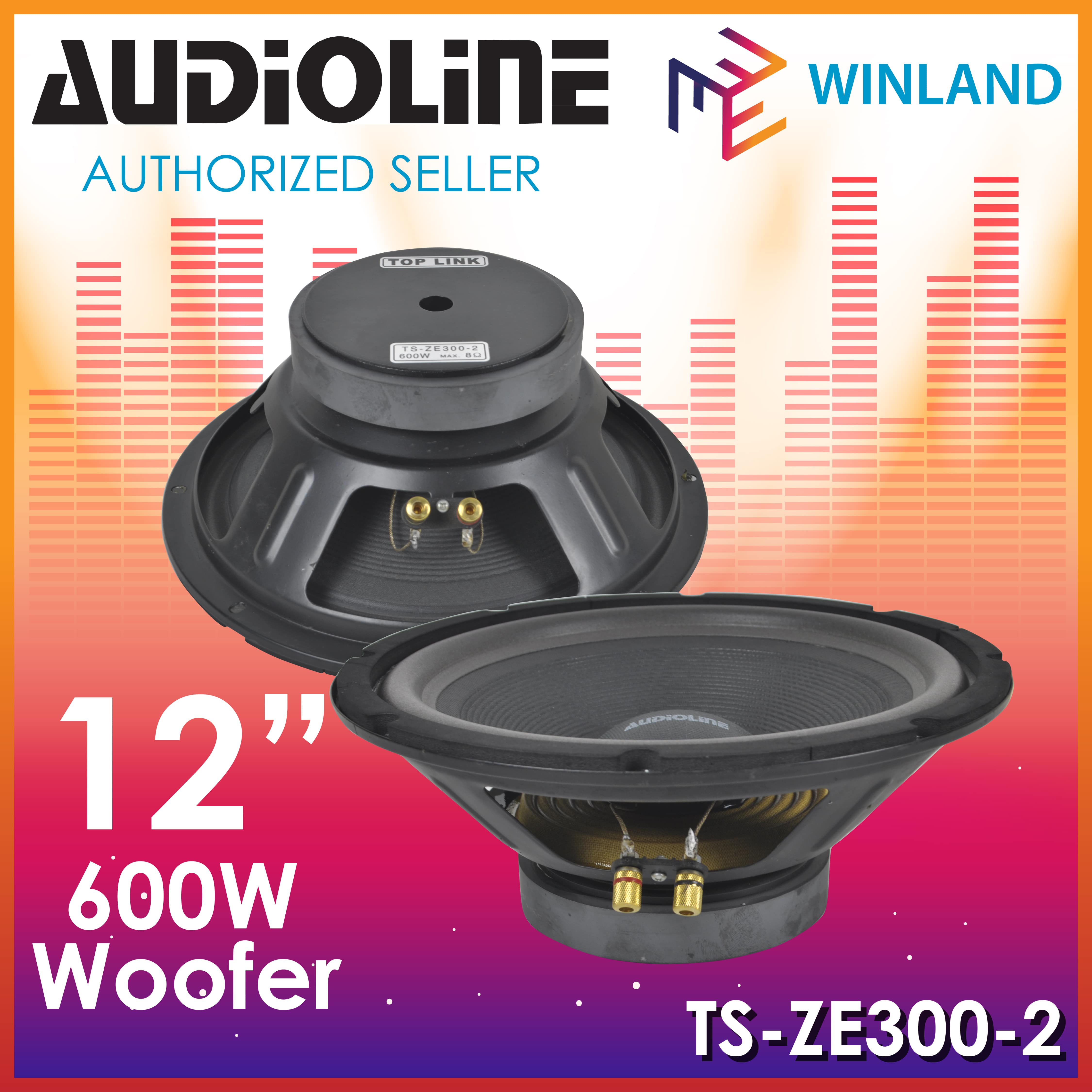 audioline 12 inch subwoofer