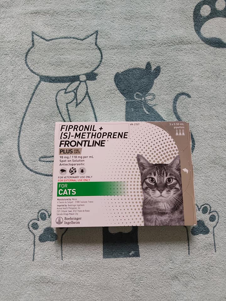 Buy FRONTLINE Plus Top Products at Best Prices online  lazada.com.ph