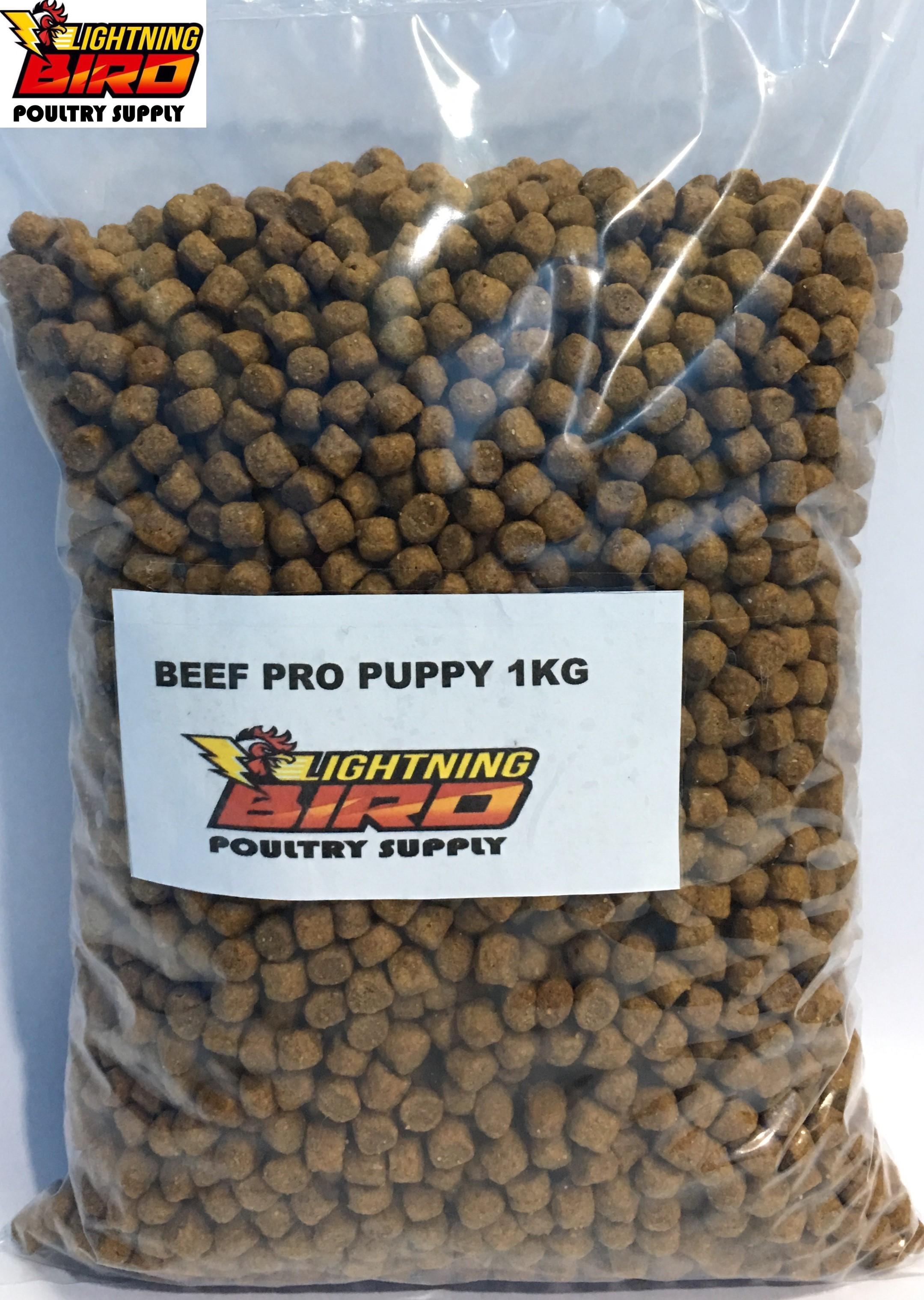 pedigree beef pro puppy