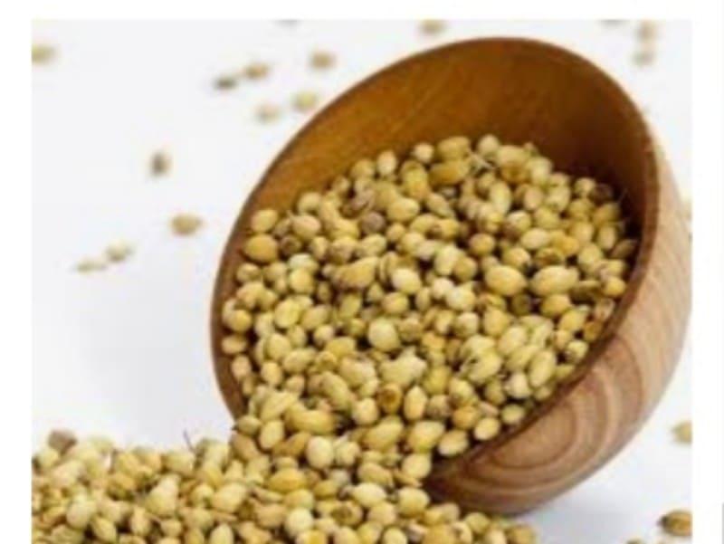 Coriander Seeds / Kulantro 500 grams | Lazada PH