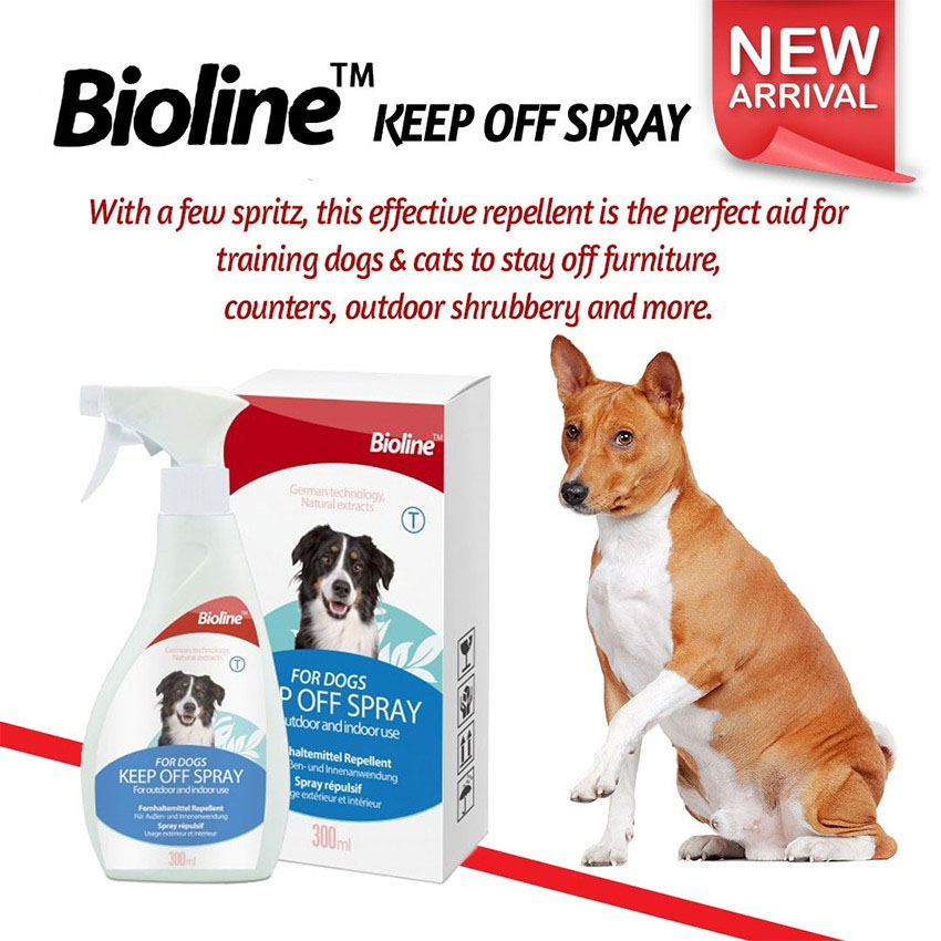 Stay off spray for sales dogs