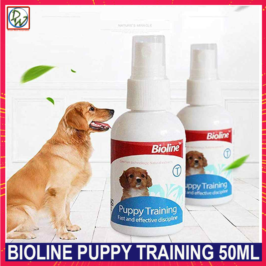 dog discipline spray