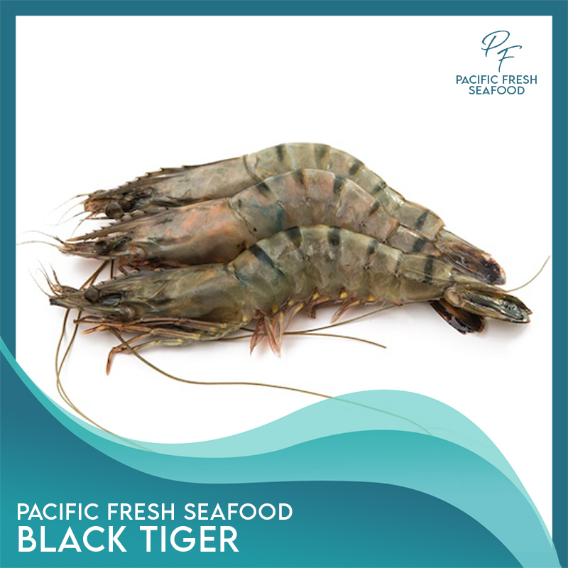 Pacific Fresh Jumbo Black Tiger Shrimp 1kg (7 to 9pcs) Lazada PH
