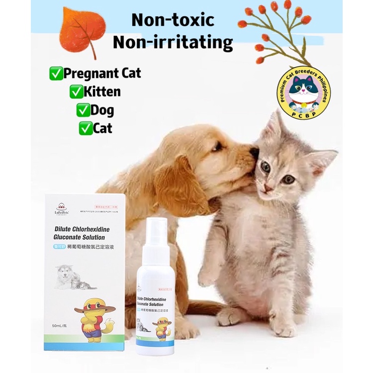 LuFeiPets’ CATS/DOG ANTIMANGE,ANTIITCH, ANTIFUNGAL HEALING spray