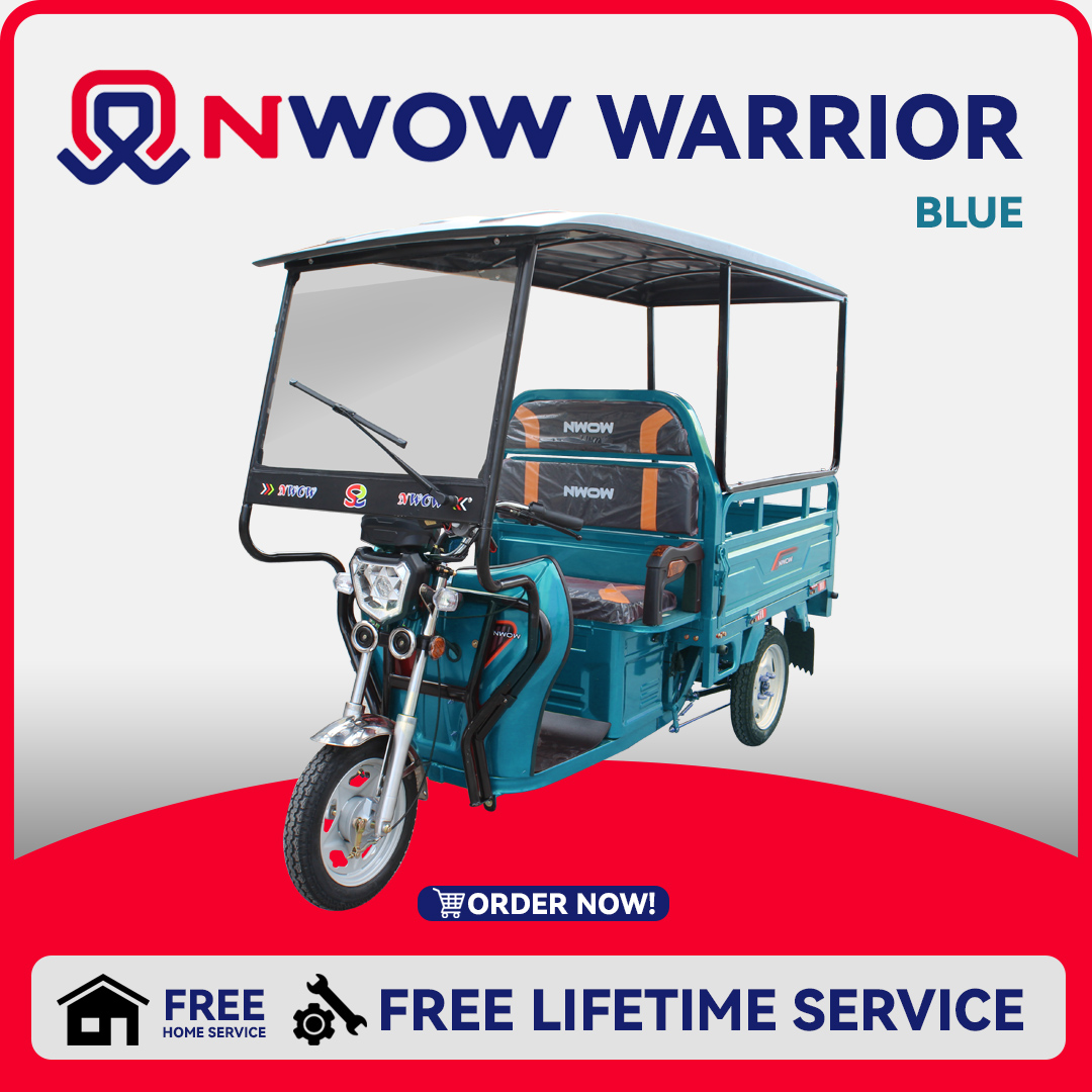 Nwow deals ebike cargo