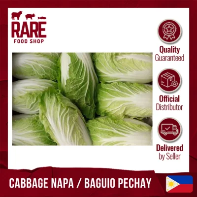 Cabbage Napa/Baguio Pechay