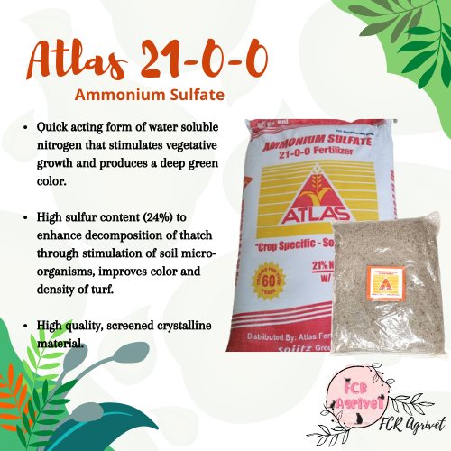 [fcr Agrivet] 5kg Atlas 21 0 0 Ammonium Sulfate Fertilizer Pataba Sa Halaman Abono Lazada Ph