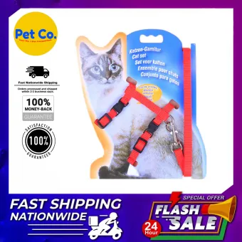 pet shipping prices