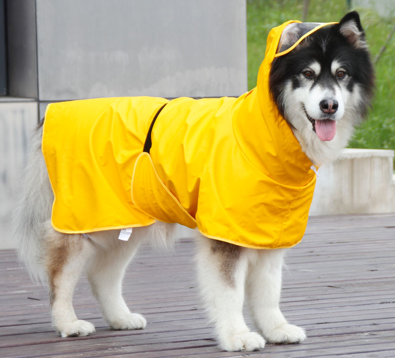 Leather raincoat, big dog cloak, poncho, egg yolk, bellyband, belly