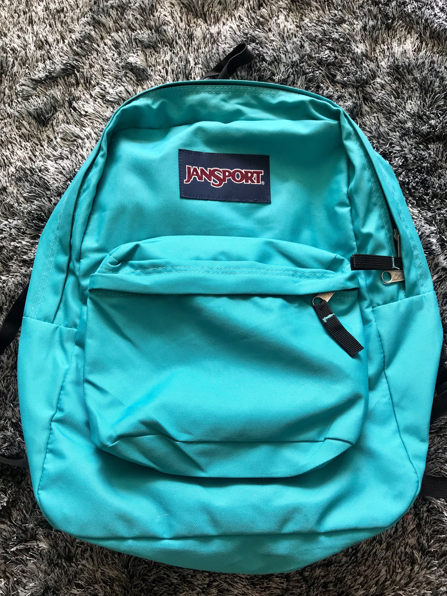 Jansport Backpack | Lazada PH