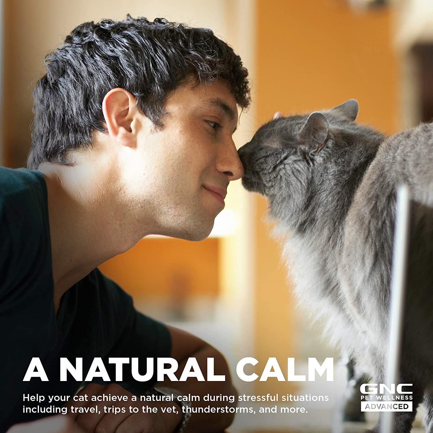 gnc cat calming