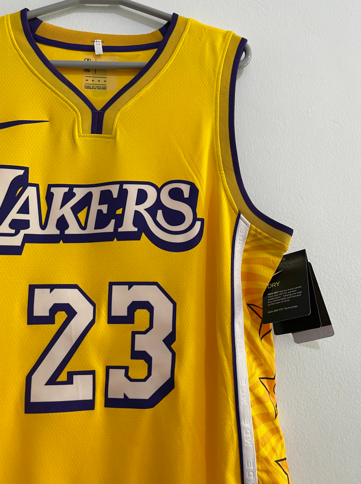 Men Danny Green #14 Gold 2019-20 DNA Full-Snap Los Angeles Lakers City  Edition Jackets 370937-228, Danny Green Lakers Jacket, Mamba Jersey