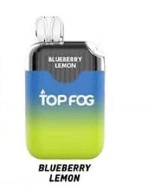 Top fog Disposable Pod 12000 Puffs Top Fogr With Type c Charger 600 mAh ...