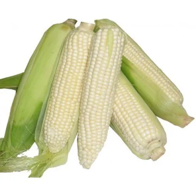 White Corn (1 kilo)