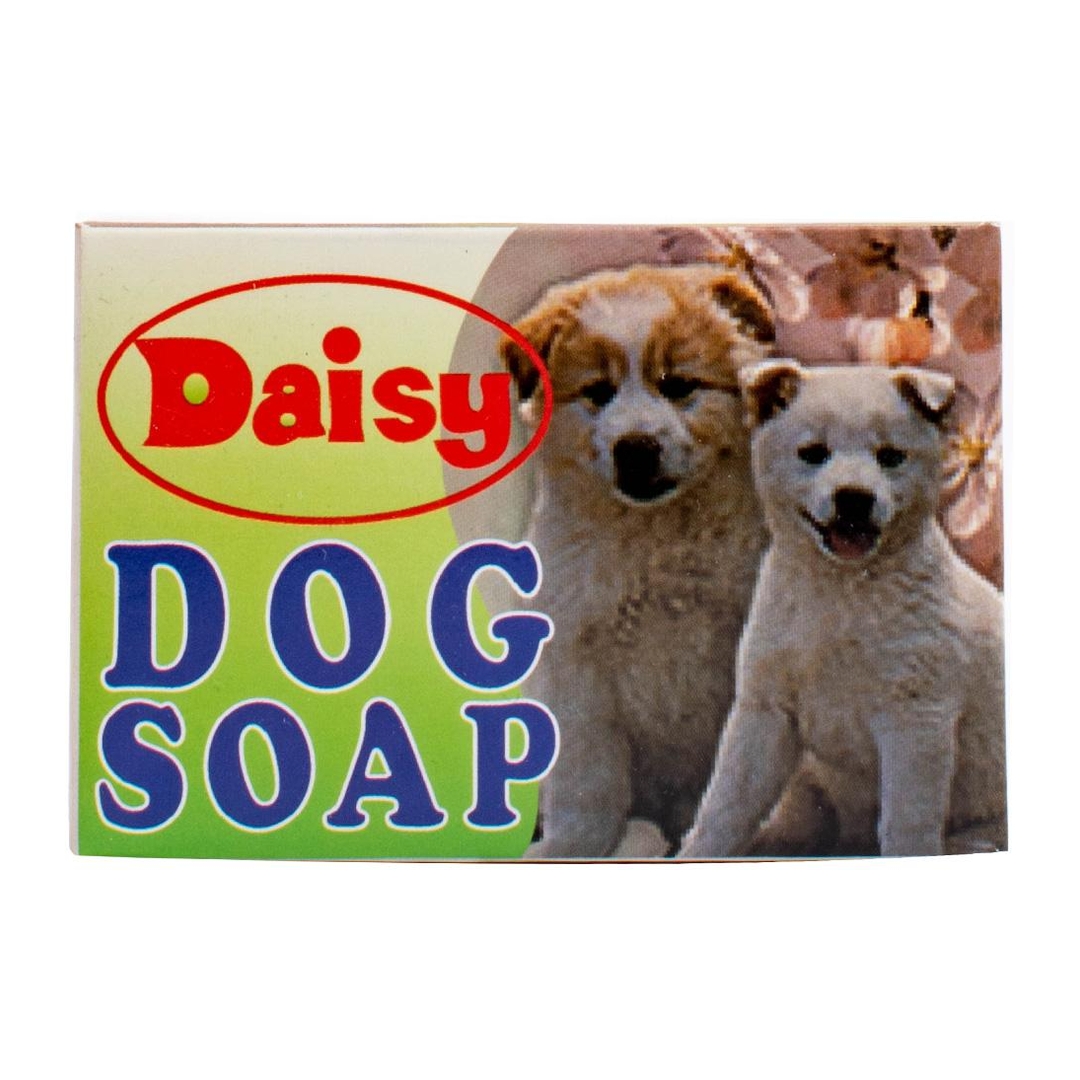 fresh as a daisy dog salon