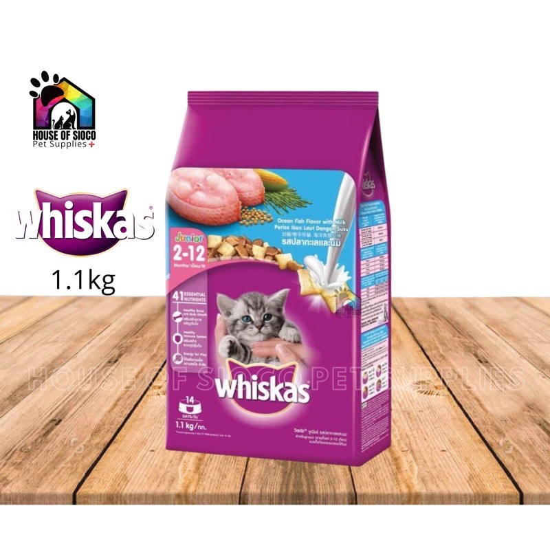 Whiskas Jr. 1.1kg Dry Food Original Packaging Lazada PH