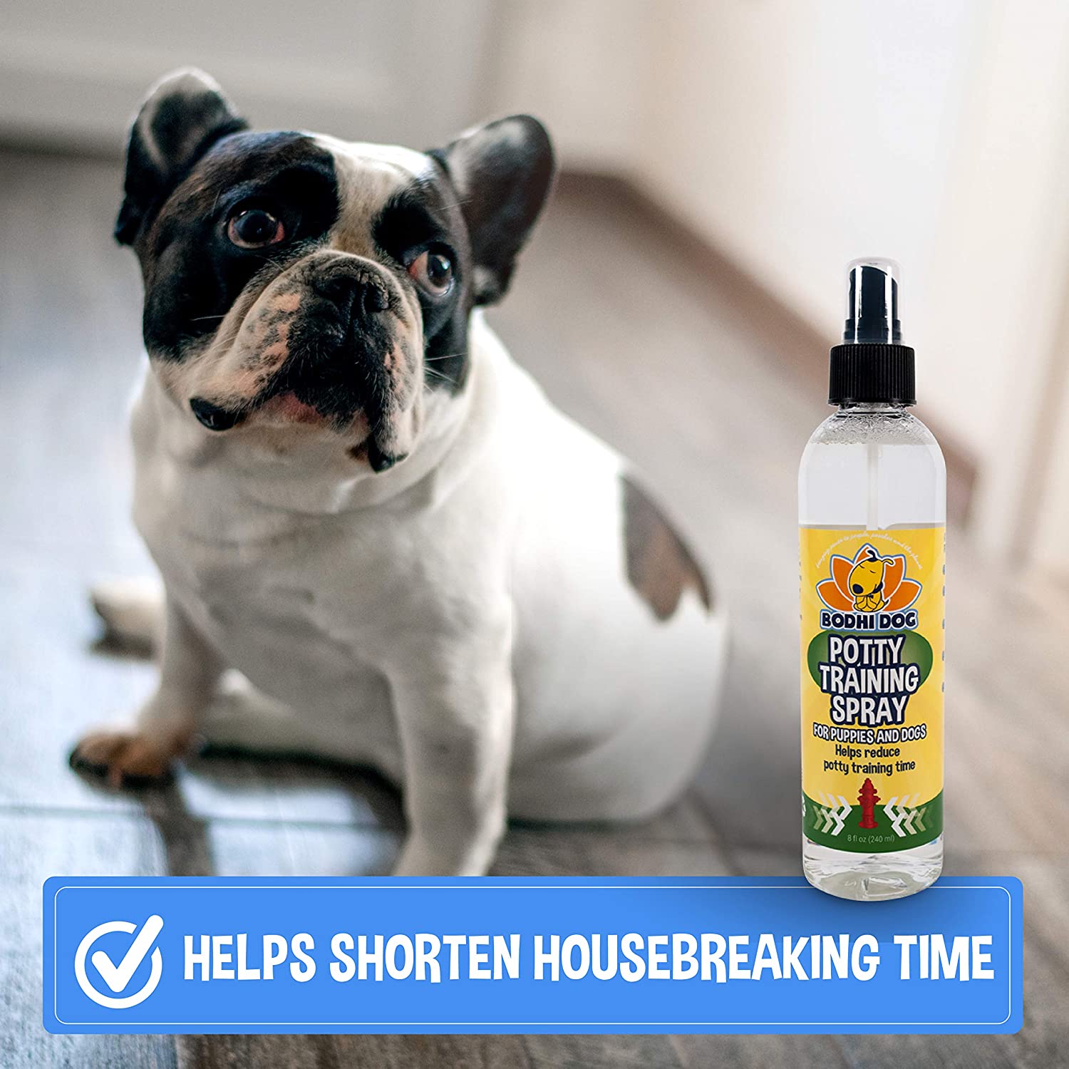 Can A Dog Be Indoor And Outdoor Potty Trained