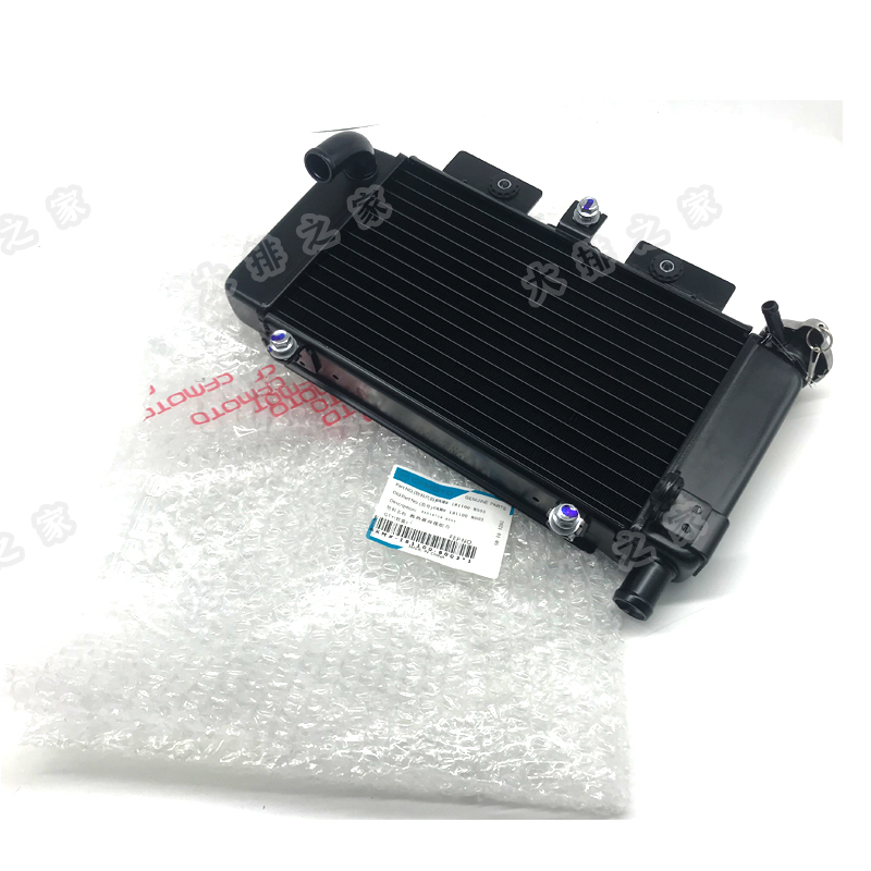 CFMOTO Original Parts Spring Breeze 250sr Motorcycle Water Tank