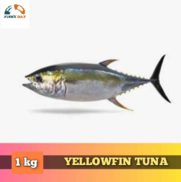 FISH SEAFOOD YELLOW FIN TUNA 1 PC / 1 KG Lazada PH
