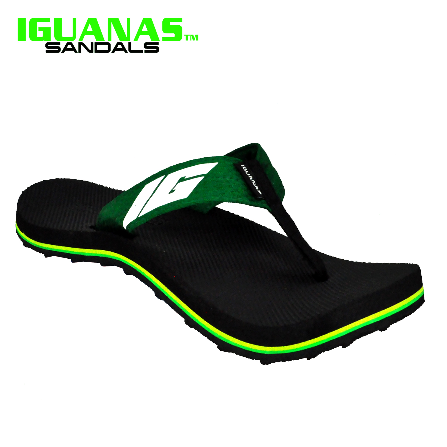 iguana slippers
