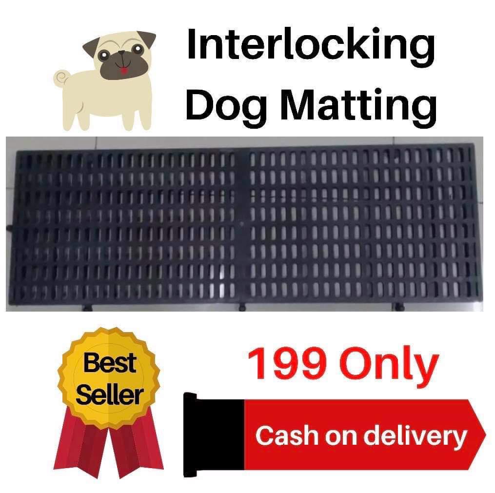 Interlocking Dog Matting / Plastic Floor Mat for Dogs in Black Lazada PH