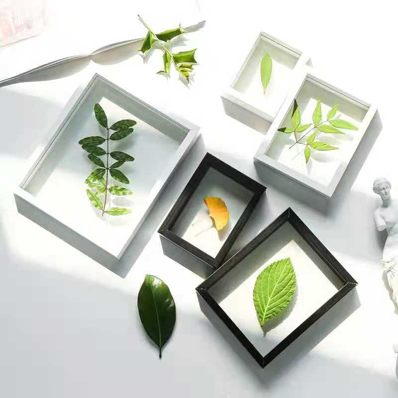 Wooden Picture Frames Double Sided Glass Plant Specimen Frame Lazada PH