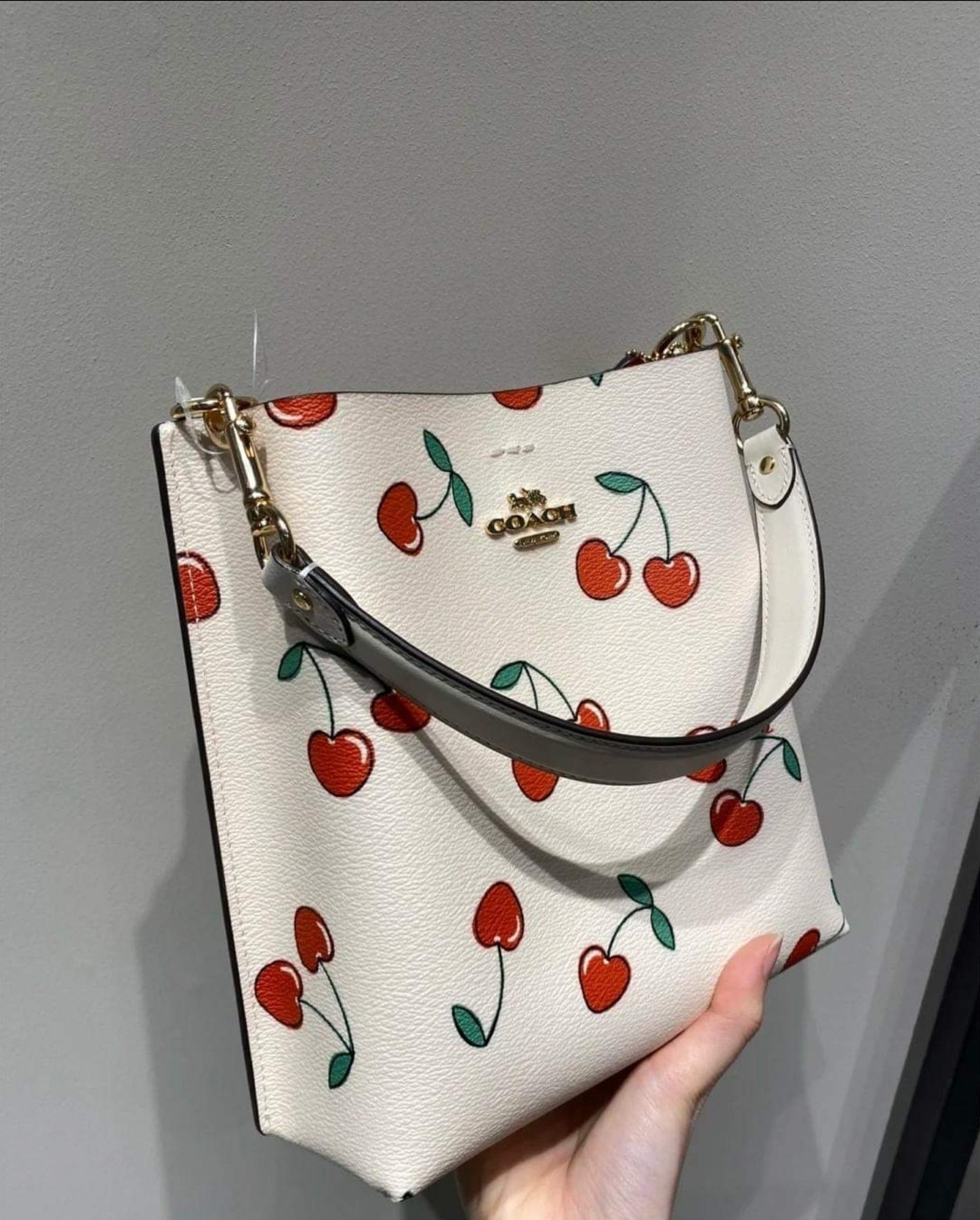 Coach Mollie Bucket 22 With Heart Cherry Print cf422 