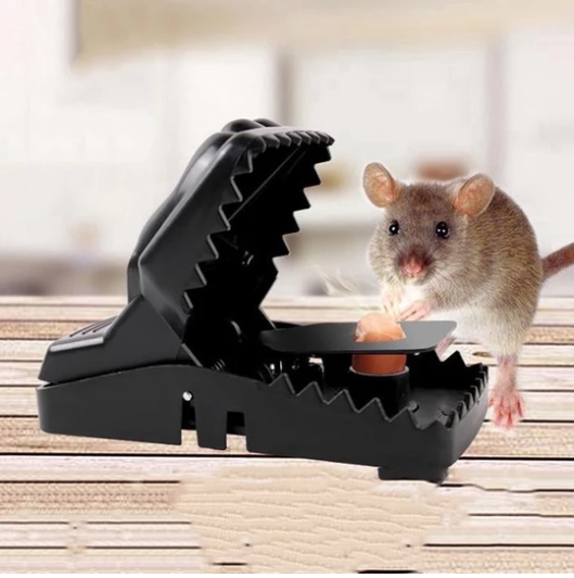 buy mouse trap online