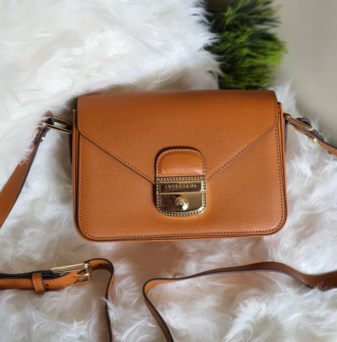 longchamp tan bag