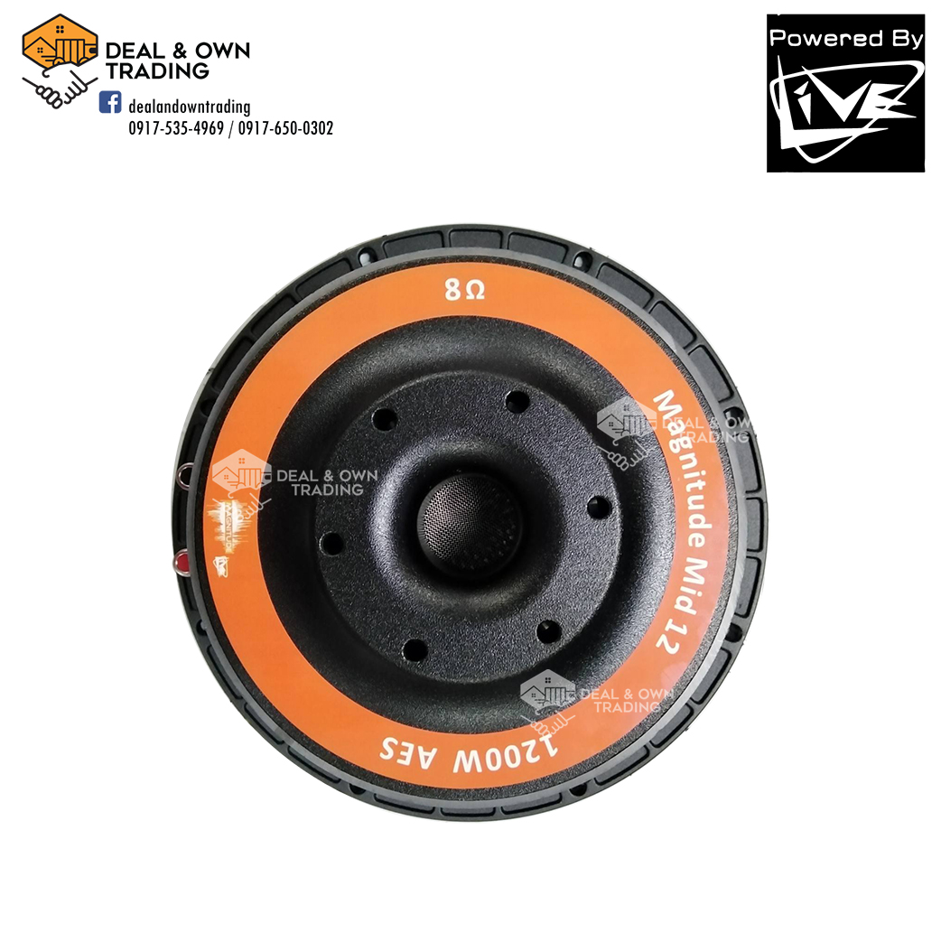 1200 watts Single Magnet Speaker 