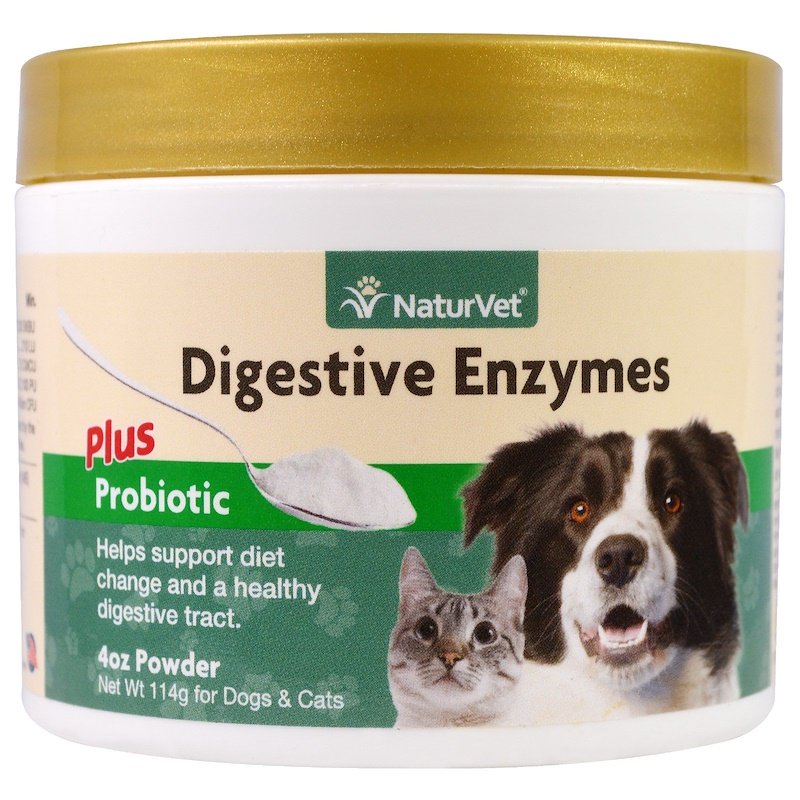 Are Digestive Enzymes Safe For Dogs