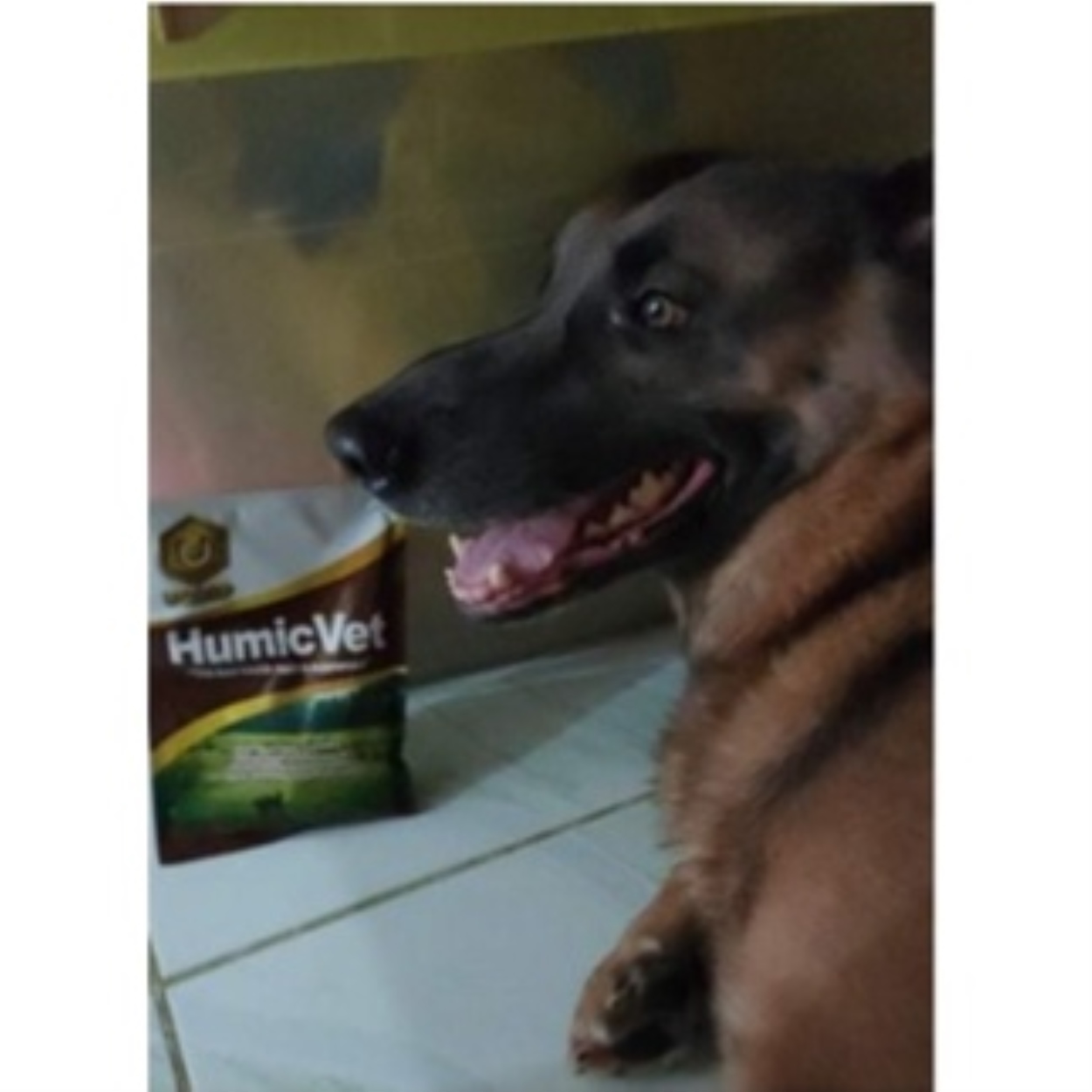 (1 PACK) HumicVet 50 grams Repacked Organic Supplements for Animals