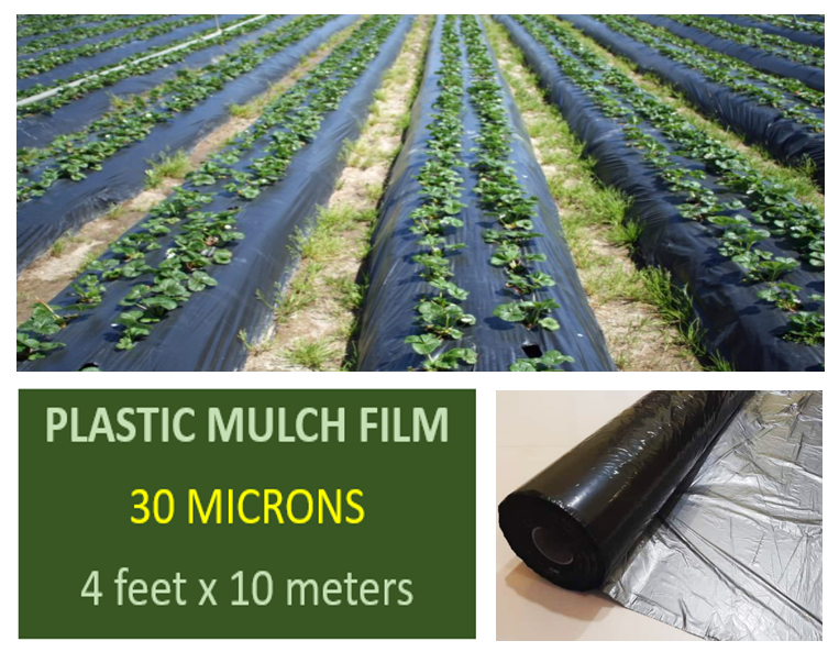 Plastic mulch film precut Lazada PH