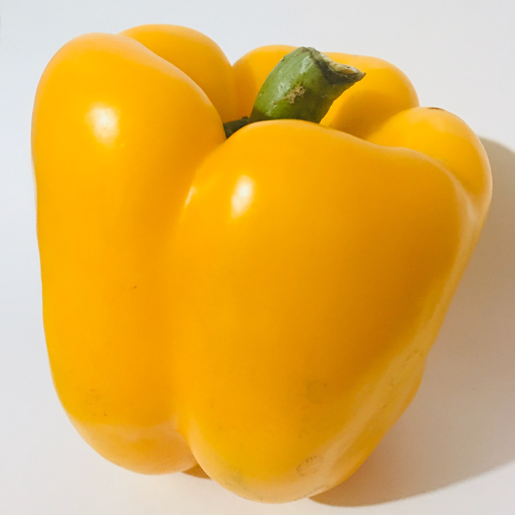 Giant Sweet Yellow Bell Pepper 5 Seeds Lazada PH