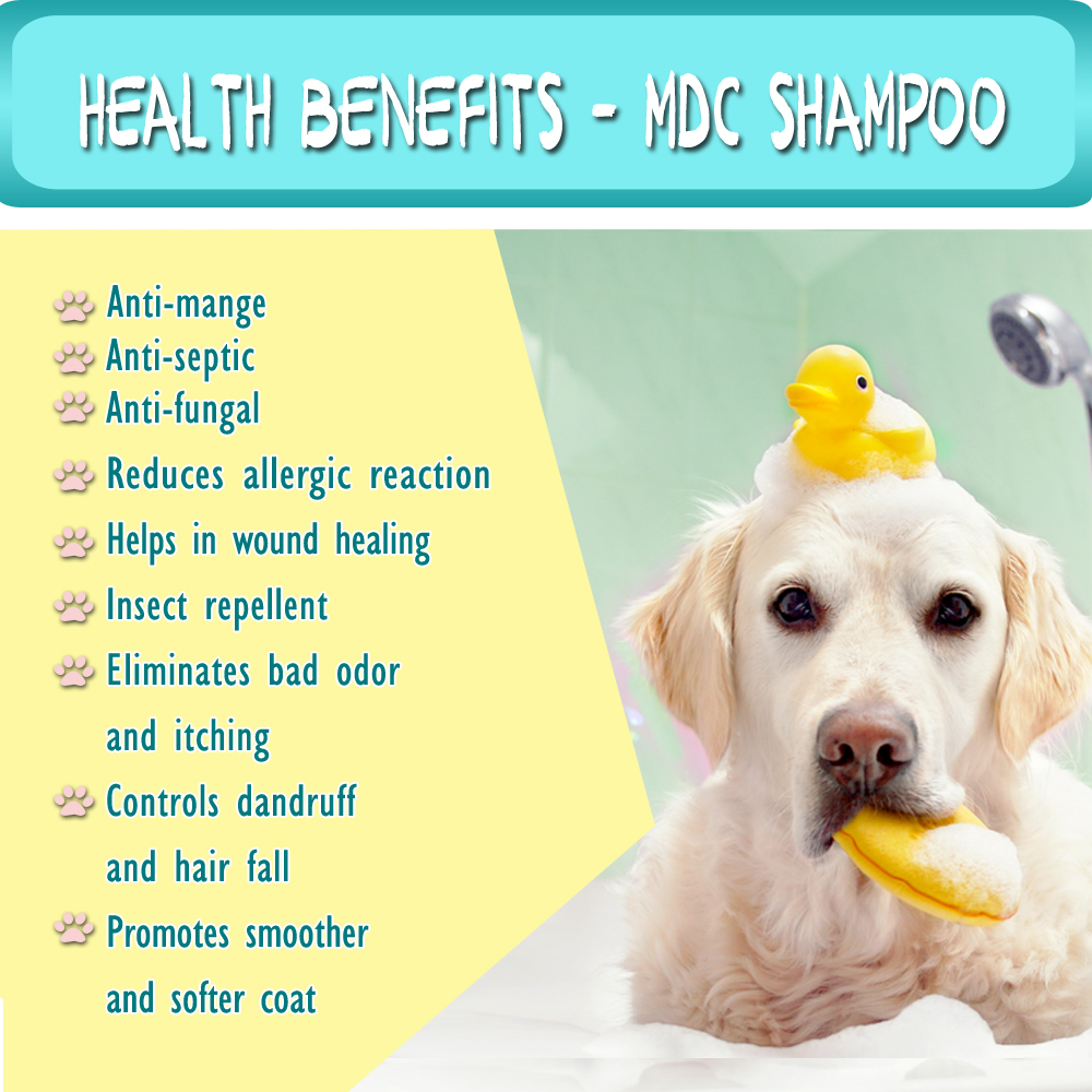 anti galis shampoo for dogs