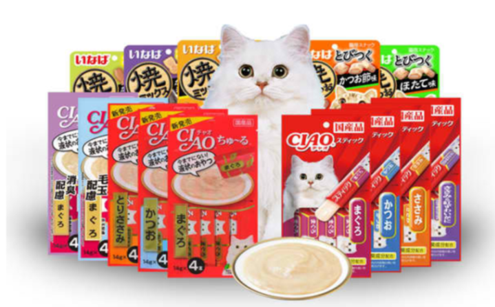 ciao cat food