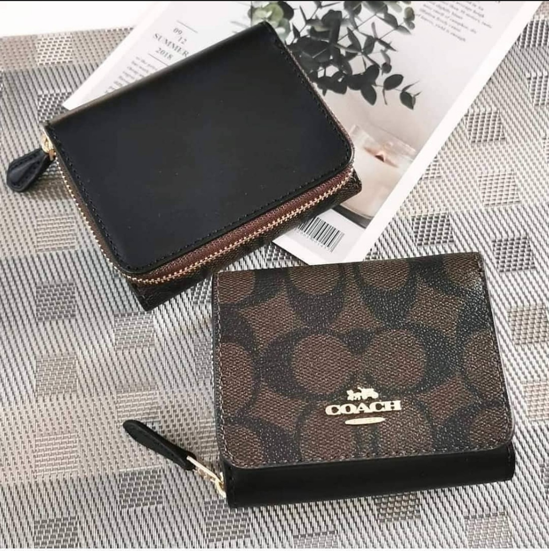 7331 coach Clearance