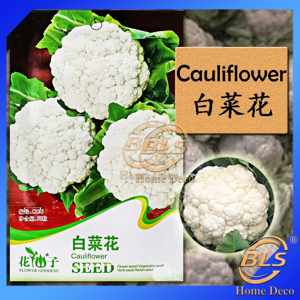 Original Package 50 White Cauliflower Seeds Brassica Oleracea Botrytis C006 