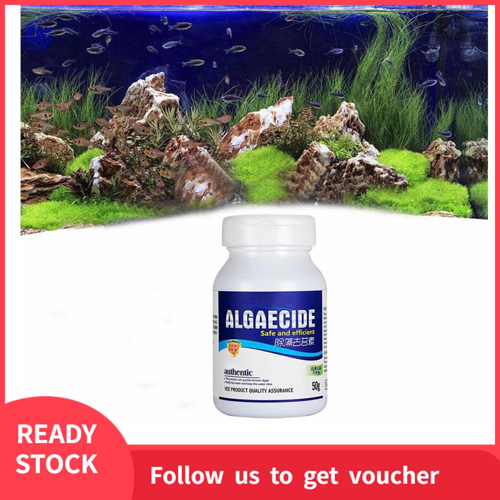 [Ready Stock]Algae Remover 50g Aquarium Algaecide Fish Tank Algae Remover Aquarium Water Cleaner