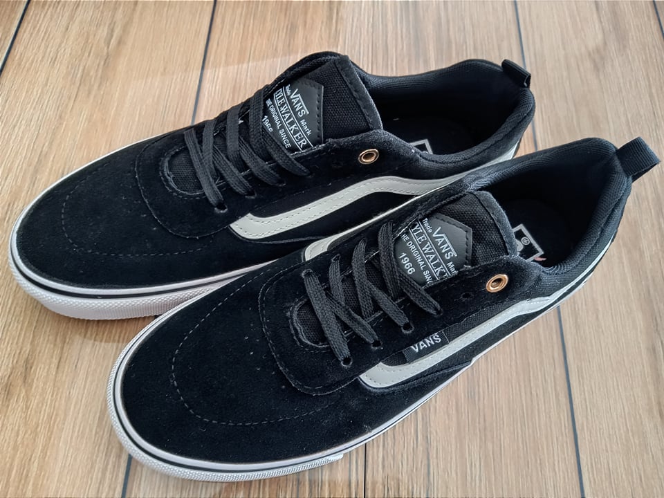 vans skywalker pro