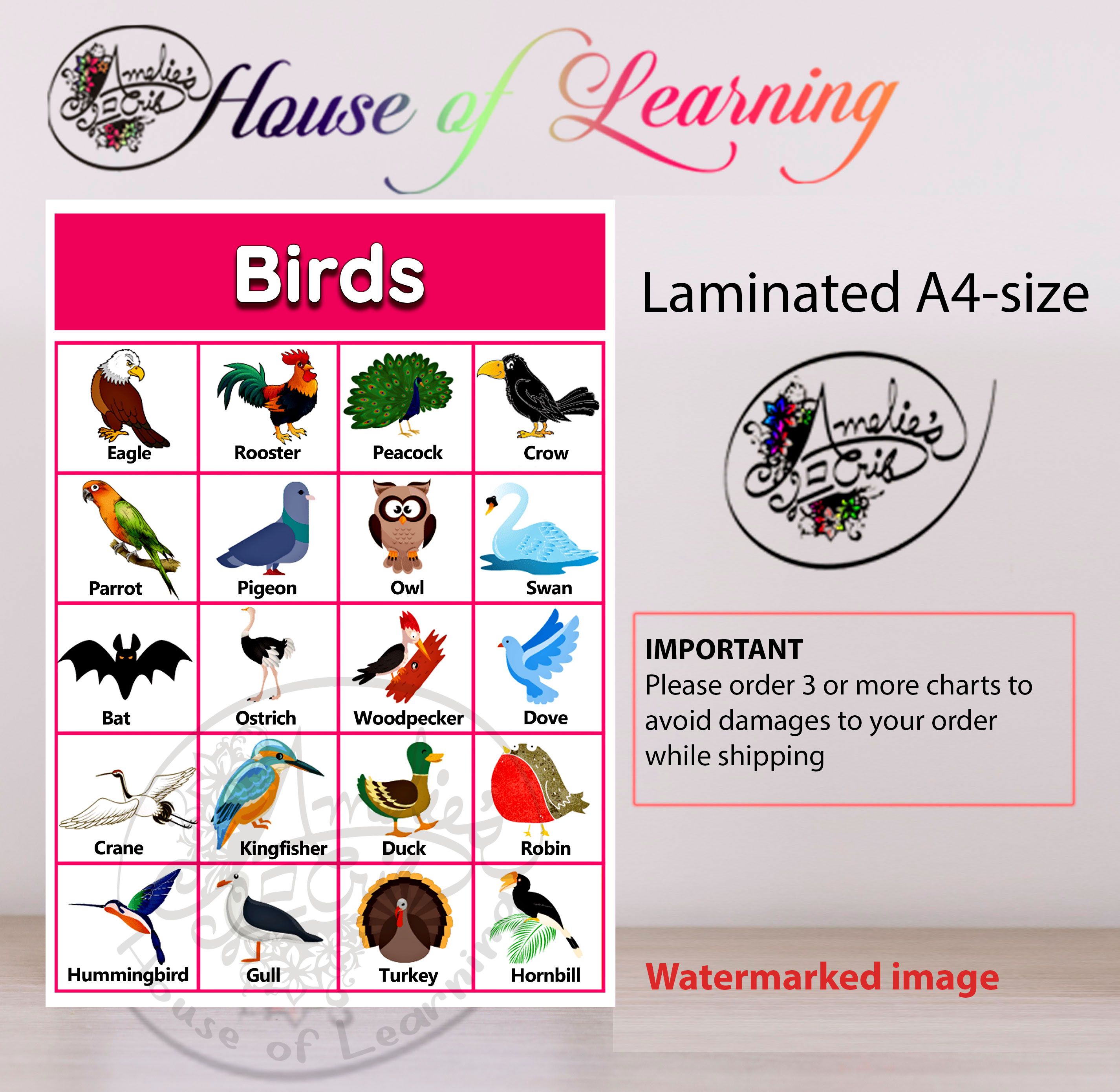 Birds Laminated Educational Chart (A4) Mga Ibon Wall charts for kids ...