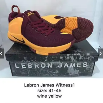 lebron shoes lazada