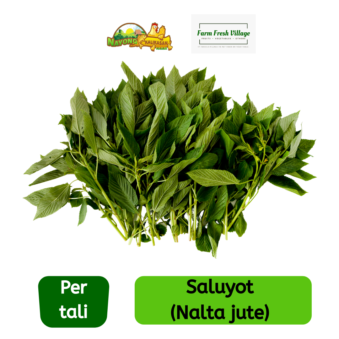 FARM FRESH VILLAGE Fresh Saluyot (Nalta Jute) Leaves per tali Lazada PH