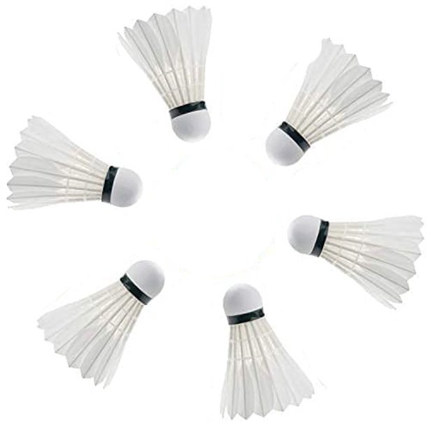 Pioneer Feather Shuttlecock (6 pcs ) without Packaging Lazada PH