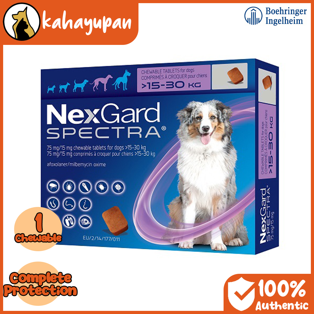 Anti Tick Netguard For Dogs Nexgard Spectra Single Anti Tick Flea