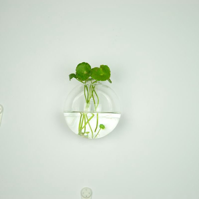 【Bestseller】 Hot Hanging glass vase glass terrarium vase for hydroponics garden