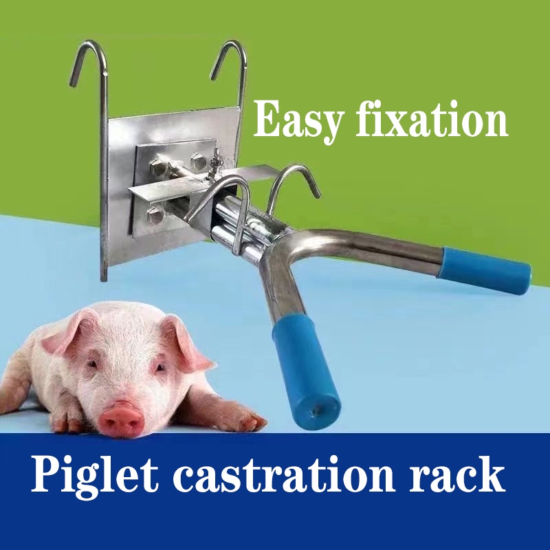 Pig Castration Frame Piglet Castration Rack Stainless Steel Wall