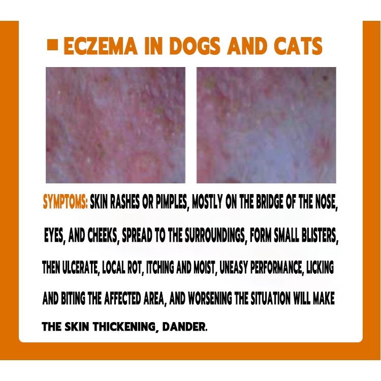 100ML dog medicine for skin disease anti mange anti galis for dog